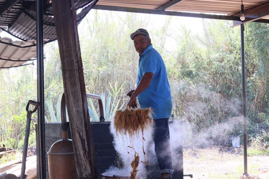 Retirando el bagazo de la tina de destilación
